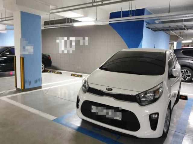 20년동안 운전을 안해서 자신도없고 내가 다시 운전할수있나 겁도 났는데 성심성의껏 잘 알려주셔서 감사합니다.